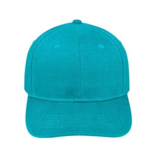 6 Panel Br Cotton Cap